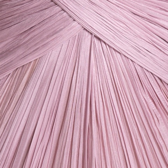 Maria Lucia Hohan “Corinna” Strapless Pleated Gown – Blush Pink – Size US 8 - Picture 10 of 10